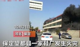 保定望都县爆料事件最新,揭秘背后真相与争议焦点
