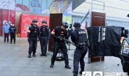 淄博警察爆料事件视频播放,揭秘事件背后真相
