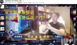 杨玉蓉爆料锤子哥视频
