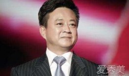 明星爆料朱军视频播放,揭秘背后真相与影响