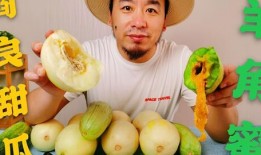 各种网红最新在线吃瓜,盘点最新热门事件幕后真相