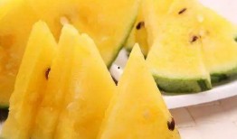 吃瓜黑料免费吃瓜,免费吃瓜黑料，带你领略幕后真相