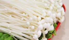 金针菇今日爆料,揭秘娱乐圈背后的惊人真相