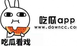 免费吃瓜网红网站合集,网红网站合集大揭秘