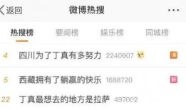 爆料丁真叔叔是谁啊视频,网红背后的真实故事