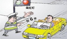 红河州媒体爆料最新消息,重大事件引发社会关注