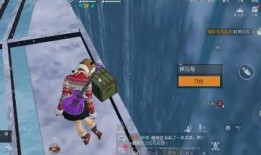 黎明觉醒雪山爆料视频在线观看,雪山揭秘，独家视频带你领略神秘雪域风光