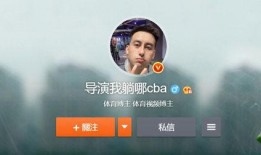 辽宁爆料记者是谁啊视频,视频曝光背后的真相