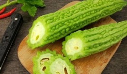 吃瓜24集全集免费下载