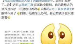 爆料丁真叔叔是谁啊视频,网红背后的真实故事