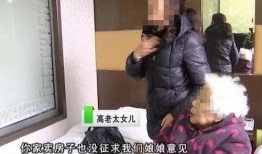 徐老太儿媳爆料视频播放,视频播放背后的惊人内幕