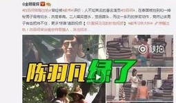 天涯爆料陈戊源是谁啊视频,陈戊源身份之谜