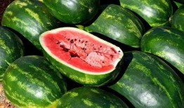 娱乐吃瓜视频素材,吃瓜群众视角下的明星幕后故事