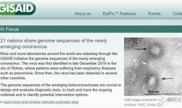 全球病毒最新爆料新闻
