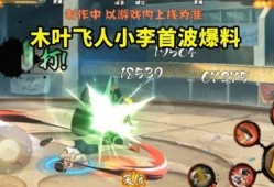 忍战小李技能爆料视频大全,揭秘爆料视频中的精彩瞬间