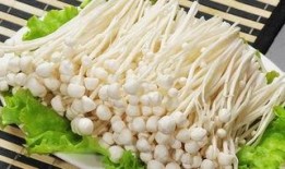 金针菇今日爆料,揭秘娱乐圈背后的惊人真相