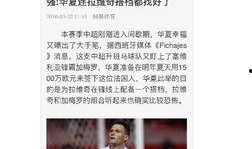 爆料媒体河北新闻,独家爆料揭示最新动态