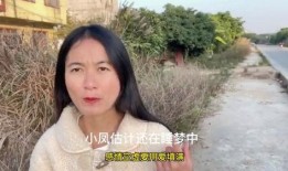 广西小凤被爆料了吗视频,真相究竟如何？