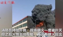 保定望都县爆料事件最新,揭秘背后真相与争议焦点