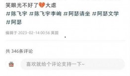 陈飞宇爆料升级视频大全,揭秘明星幕后成长瞬间