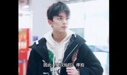吴磊素质爆料视频大全,揭秘明星背后的真实风采