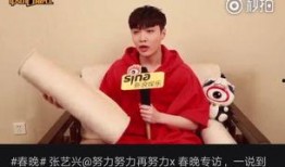 张艺兴新综艺爆料视频,幕后故事与精彩瞬间大公开
