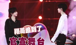 翔霖粉丝爆料事件视频,揭秘事件背后真相