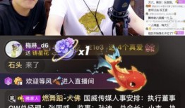 鹏哥爆料金子视频全集,金子视频全集深度解析，带你领略幕后真相