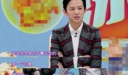 娱乐爆料何炅视频,娱乐爆料引发网友热议