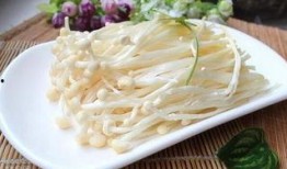 金针菇今日爆料,揭秘娱乐圈背后的惊人真相