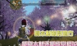 黎明觉醒雪山爆料视频在线观看,雪山揭秘，独家视频带你领略神秘雪域风光