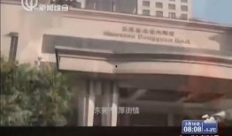 广东东莞爆料新闻,揭秘城市热点事件背后的真相