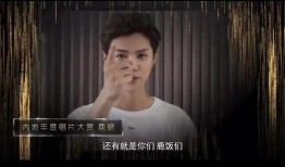 爆料渣男阿灿视频大全集,揭秘真实面目，引发社会热议