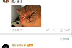 娱乐大咖大爆料