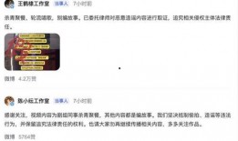 明星王鹤棣爆料视频播放,独家爆料视频背后的故事