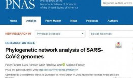 武汉新冠病毒最新爆料,揭秘疫情背后的真相与挑战