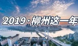 柳州爆料热点事件最新情况,事件进展及各方反应汇总