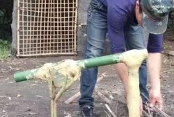 死水爆料视频大全下载最新,揭秘最新热点事件幕后真相