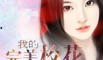 完美婆娘最新爆料小说在线阅读,揭秘小说中的神秘世界