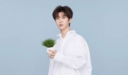 白鹿范丞丞圈内爆料视频,揭秘娱乐圈不为人知的一面