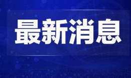 江西电视台新闻热点爆料,揭秘江西本土企业崛起背后的故事