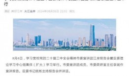 阜阳中梁最新爆料信息网,揭秘项目进展与市场动态”