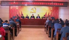 青县爆料最新事件新闻,揭秘突发事件背后的真相