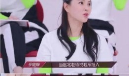 艾美人泪崩爆料视频,背后故事令人动容