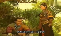 寻秦记粤语在线观看,穿越时空的奇幻冒险之旅