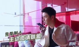 鹏哥爆料金子视频全集,金子视频全集深度解析，带你领略幕后真相