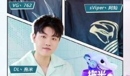 爆料渣男阿灿视频大全集,揭秘真实面目，引发社会热议