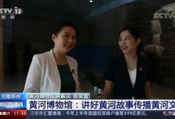 央视爆料河南新闻事件,央视揭露的背后真相