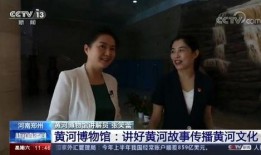 央视爆料河南新闻事件,央视揭露的背后真相