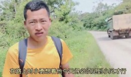 广西小凤被爆料了吗视频,真相究竟如何？